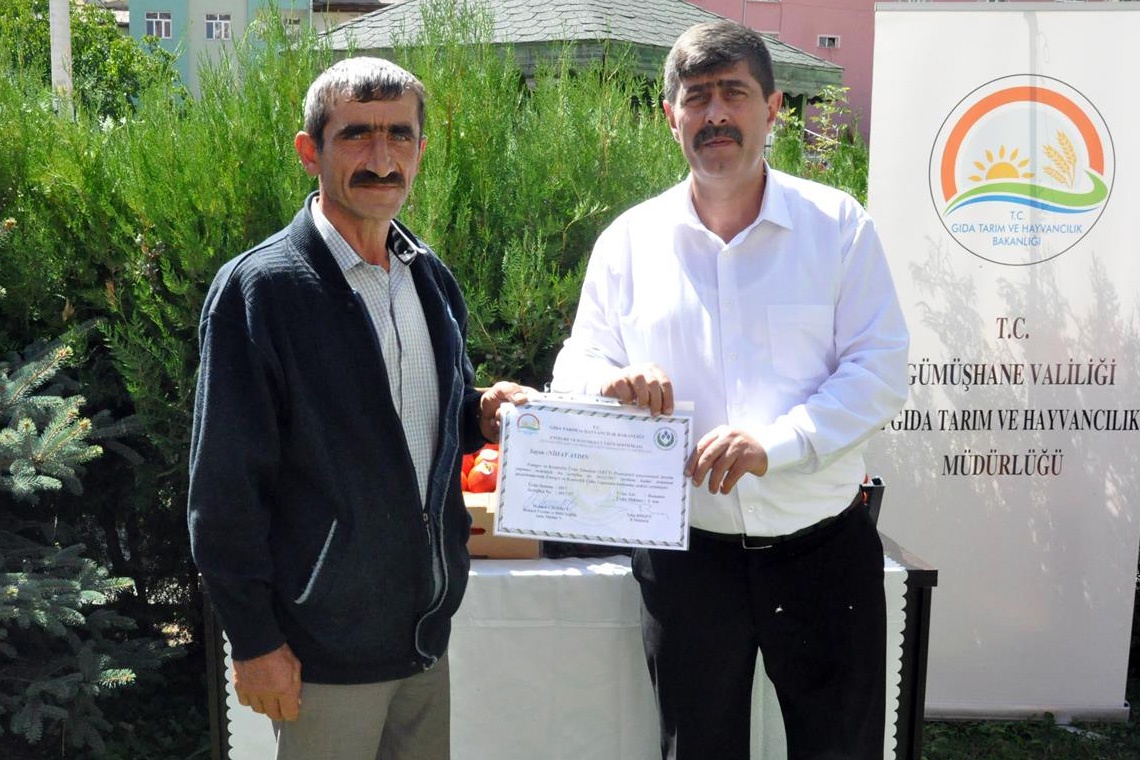 Gümüşhane’de yeni trend: Seracılık 5