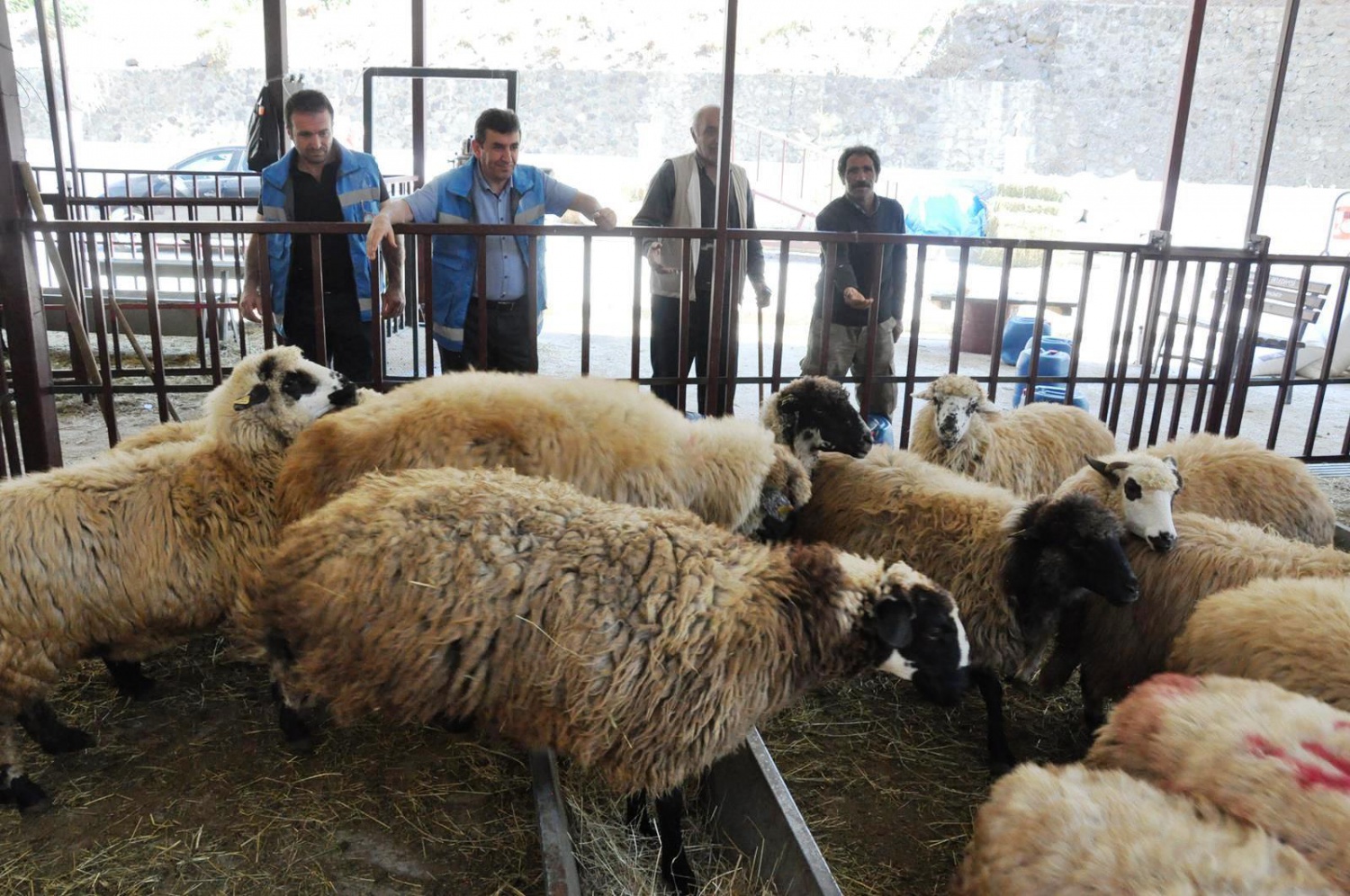Kurban Bayramı öncesi hazırlıklar tamamlandı 13