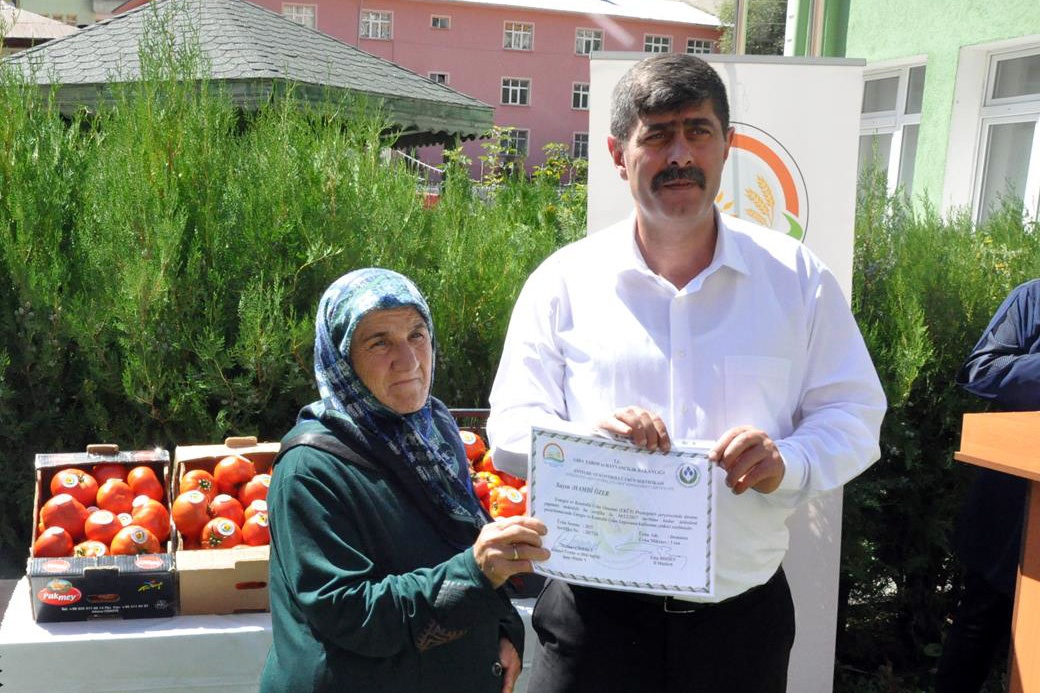 Gümüşhane’de yeni trend: Seracılık 10