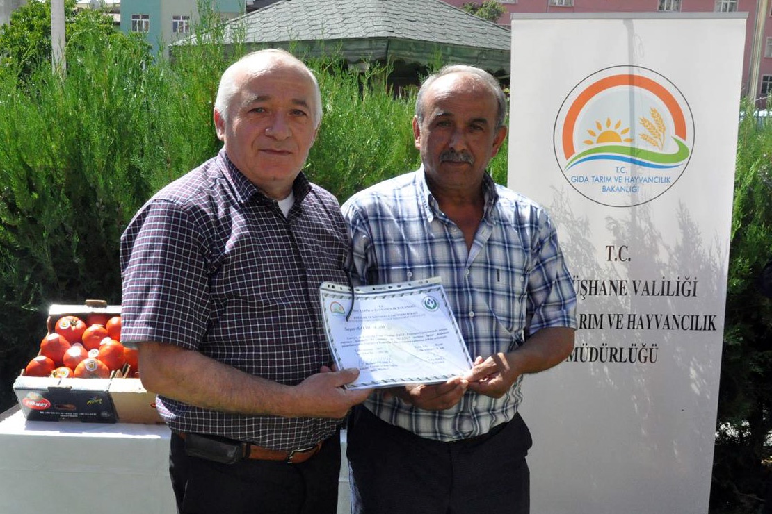 Gümüşhane’de yeni trend: Seracılık 4