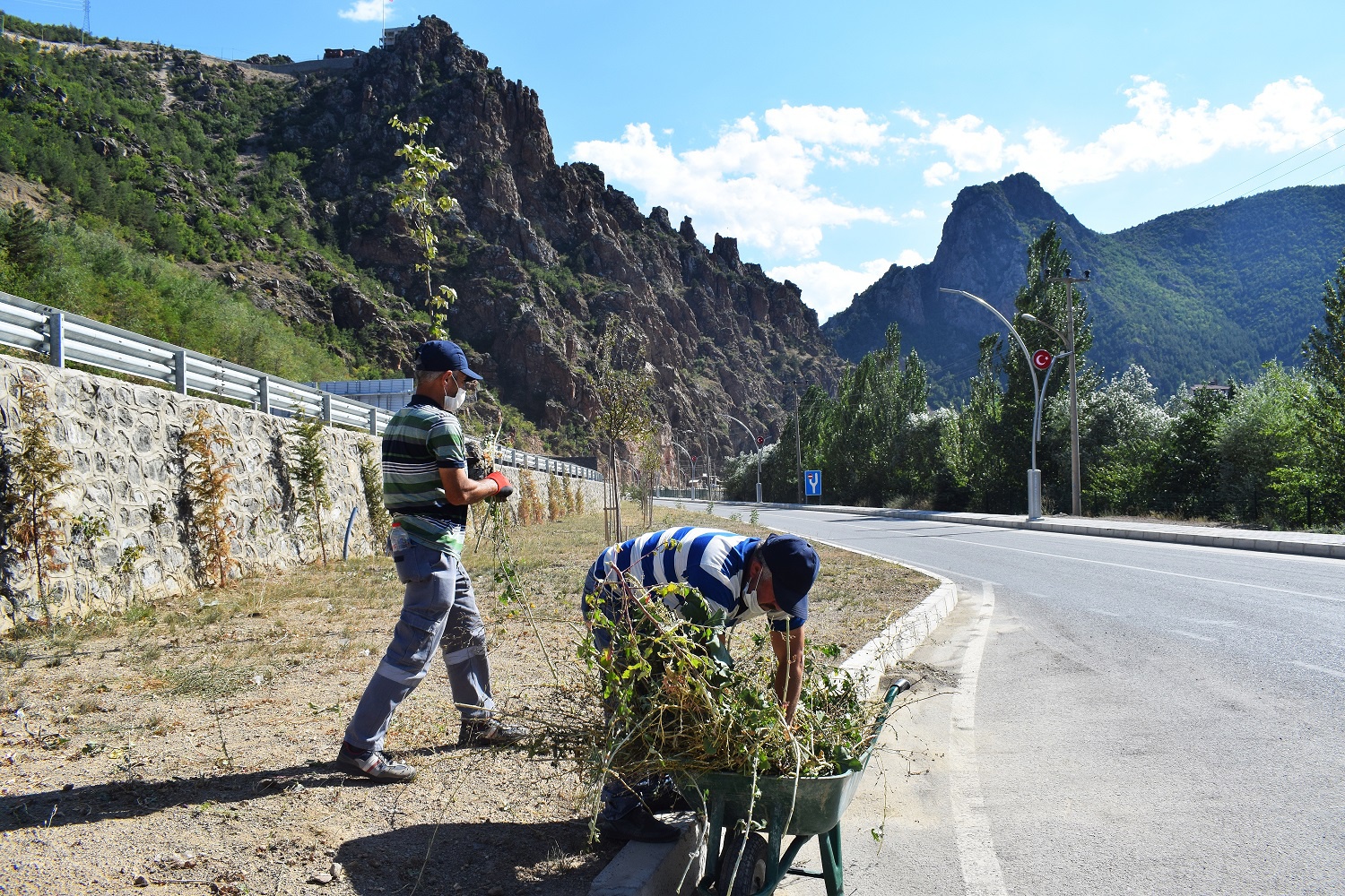 Torul’da peyzaj ve ağaçlandırma çalışmaları devam ediyor 4