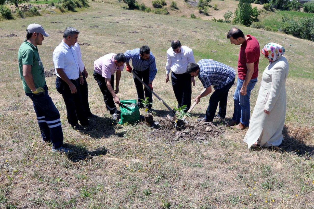 Gümüşhane’de ceviz fidanları toprakla buluştu 5