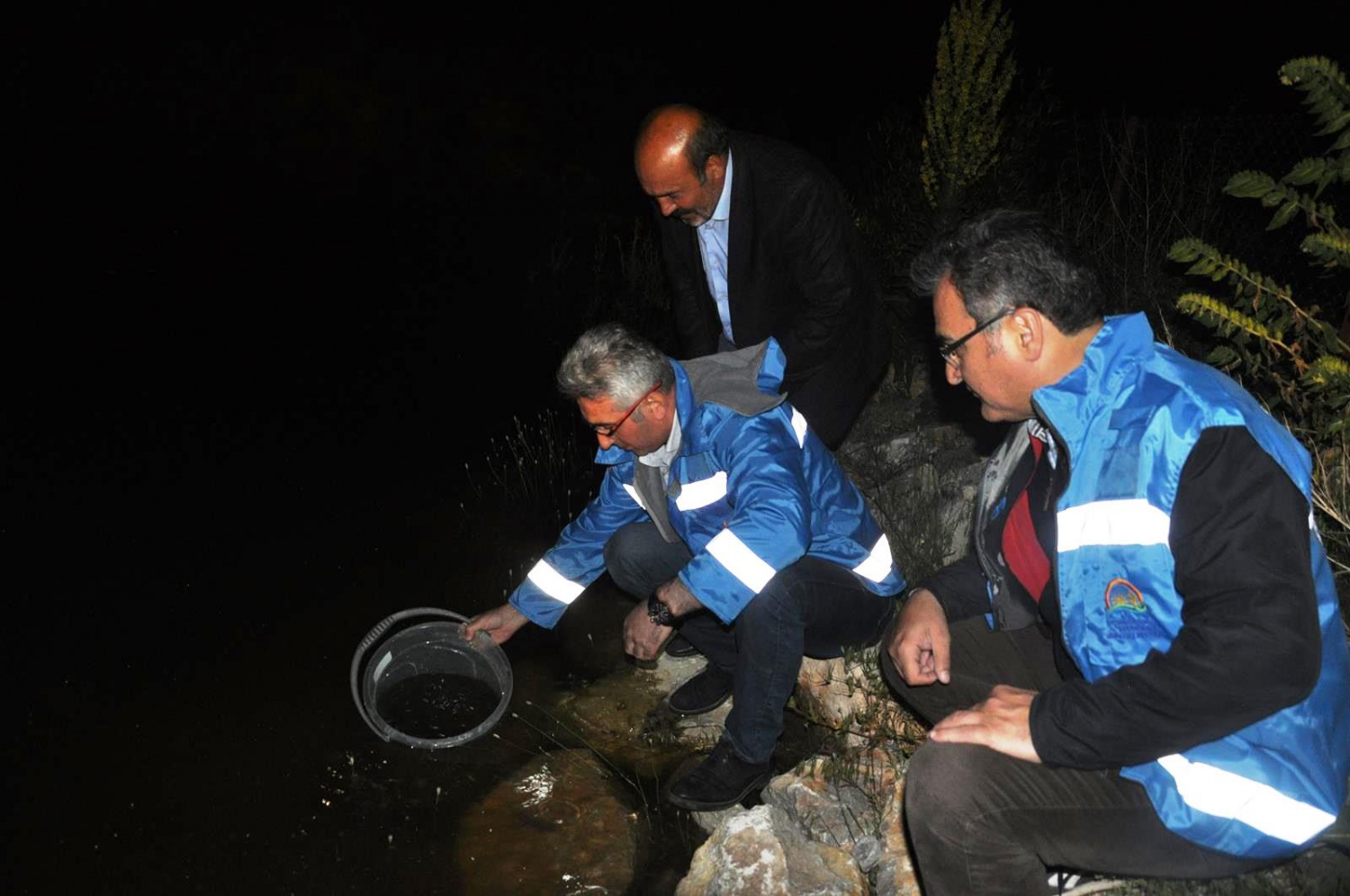 Gümüşhane'de göletlere 50 bin sazan yavrusu bırakıldı 1