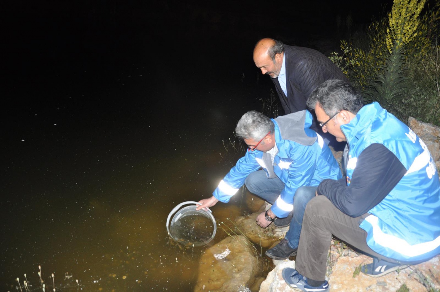 Gümüşhane'de göletlere 50 bin sazan yavrusu bırakıldı 3