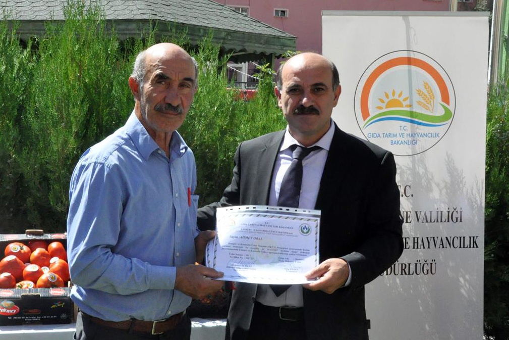 Gümüşhane’de yeni trend: Seracılık 9