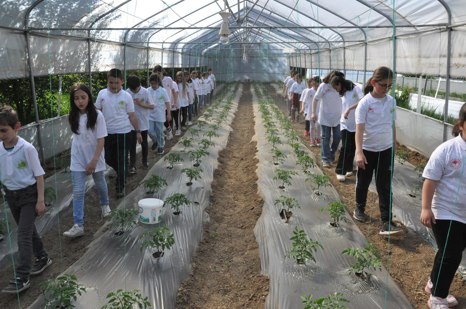 Gümüşhane’de Lider Çocuk Tarım Kampı düzenlendi 12