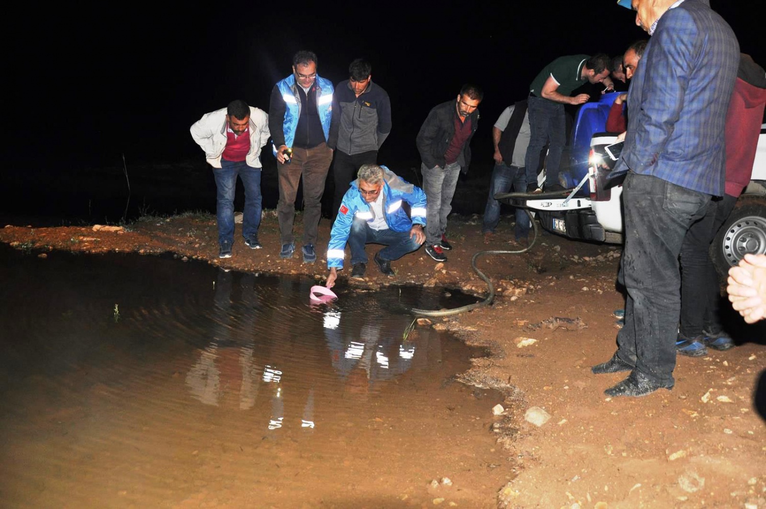 Gümüşhane'de göletlere 50 bin sazan yavrusu bırakıldı 10