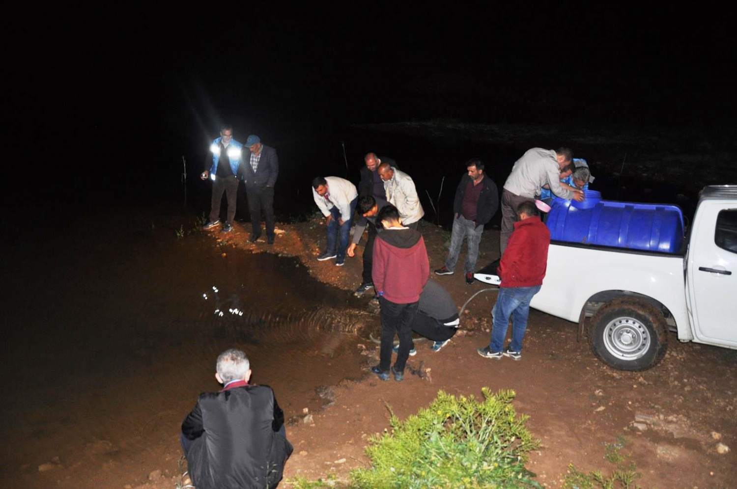 Gümüşhane'de göletlere 50 bin sazan yavrusu bırakıldı 15