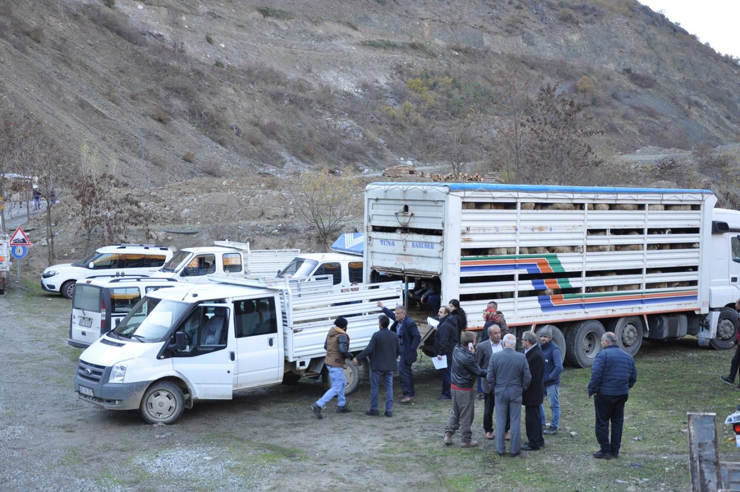 Gümüşhane’de Genç Çiftçilere küçükbaş hayvanları dağıtıldı 2