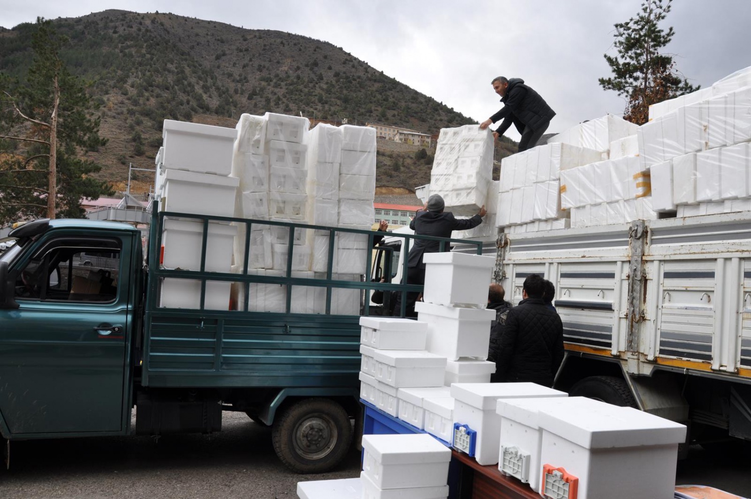 Gümüşhane’de Kafkas Ana Arı Üretim Merkezi kuruldu 6