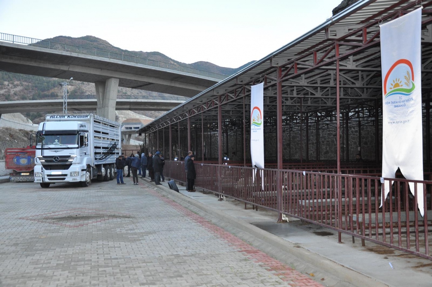 Gümüşhane’de Genç Çiftçilere küçükbaş hayvanları dağıtıldı 11