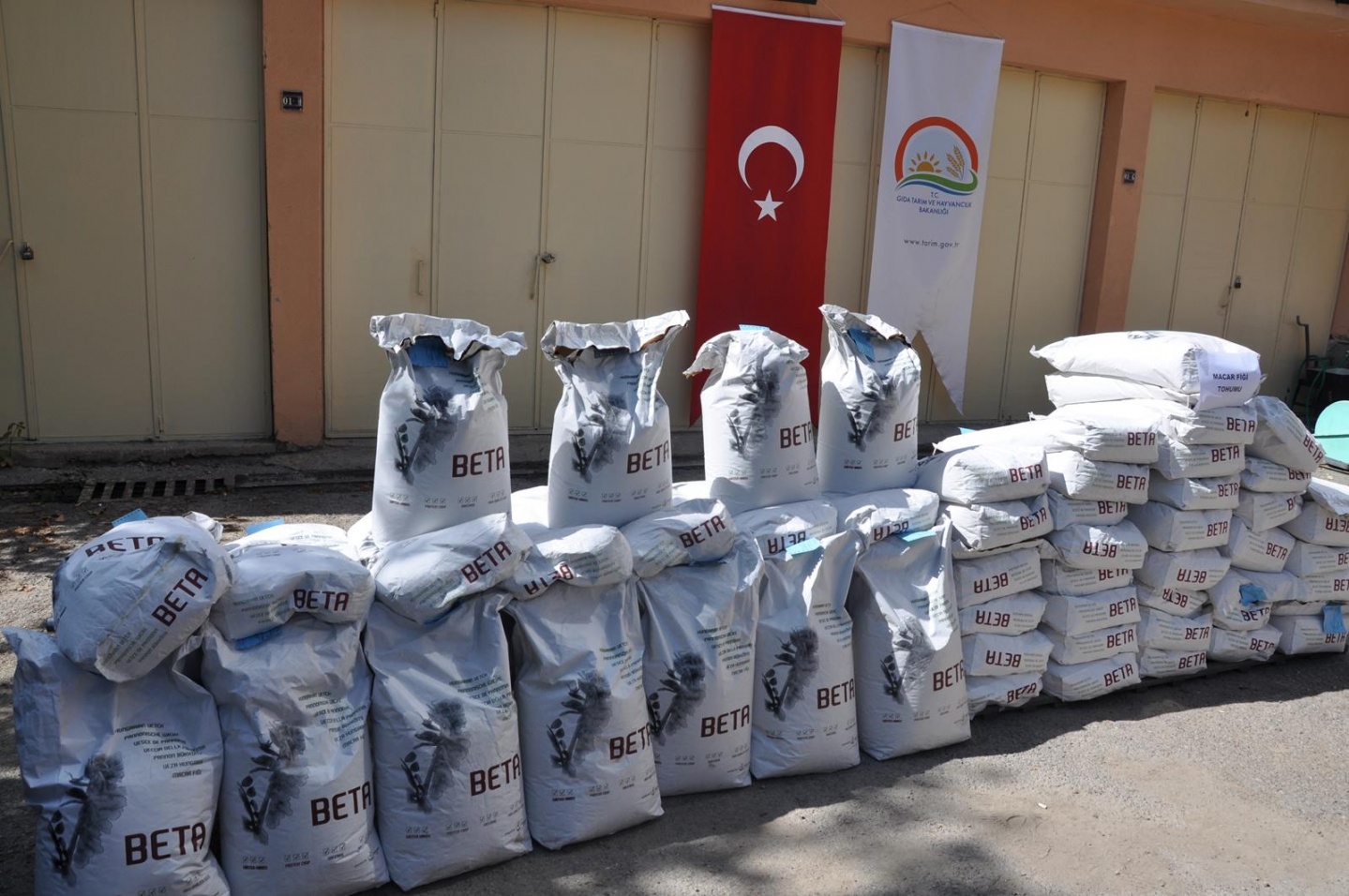 Gümüşhane’de üreticilere yem bitkisi tohumu desteği 1