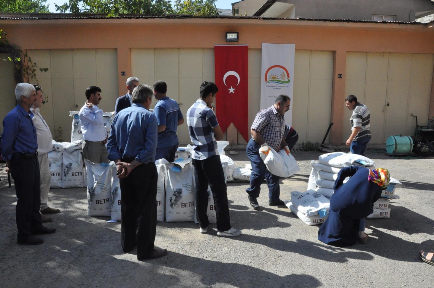 Gümüşhane’de üreticilere yem bitkisi tohumu desteği 4