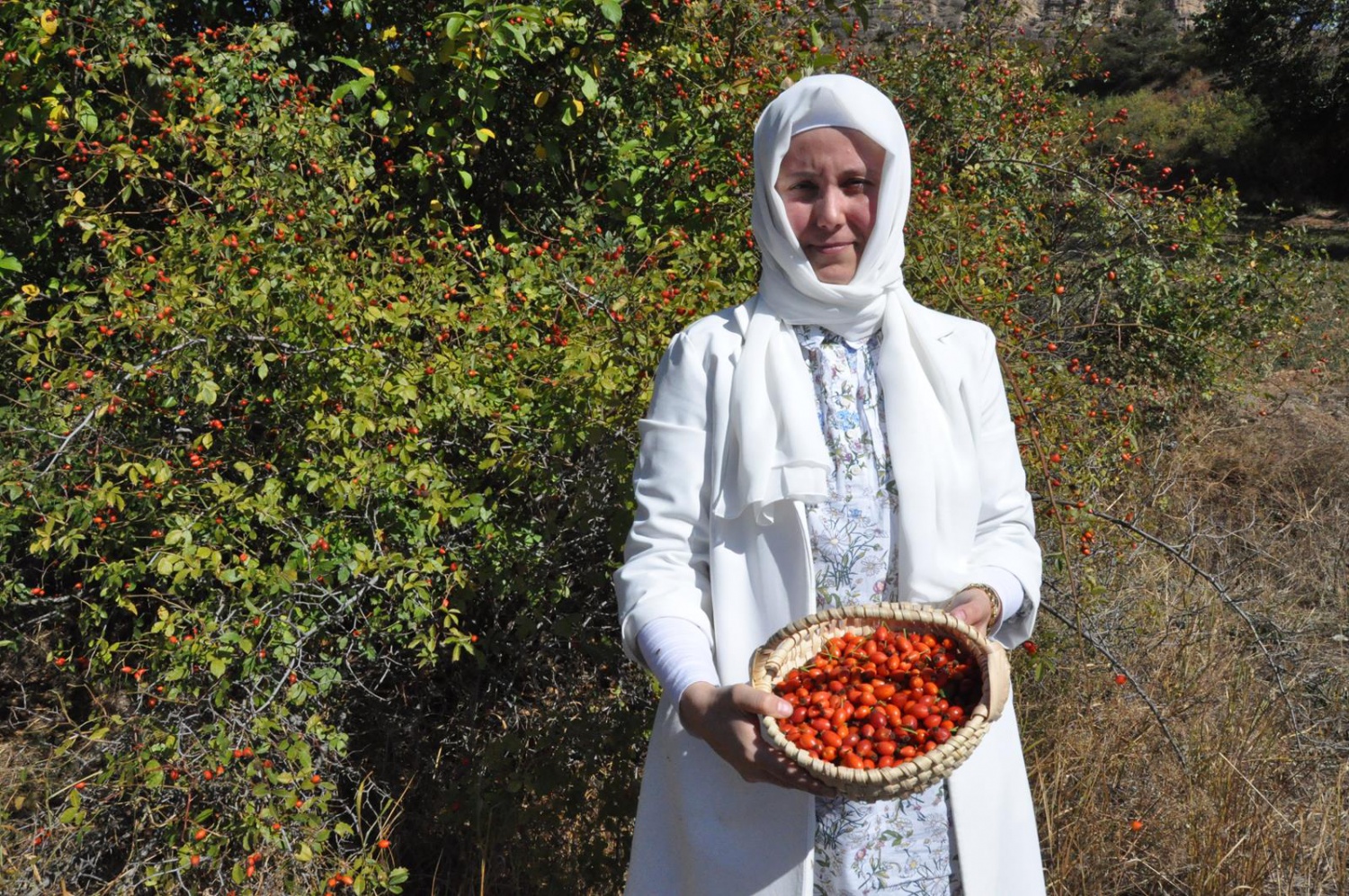 Dağlardan gelen şifa kaynağı: Kuşburnu 1