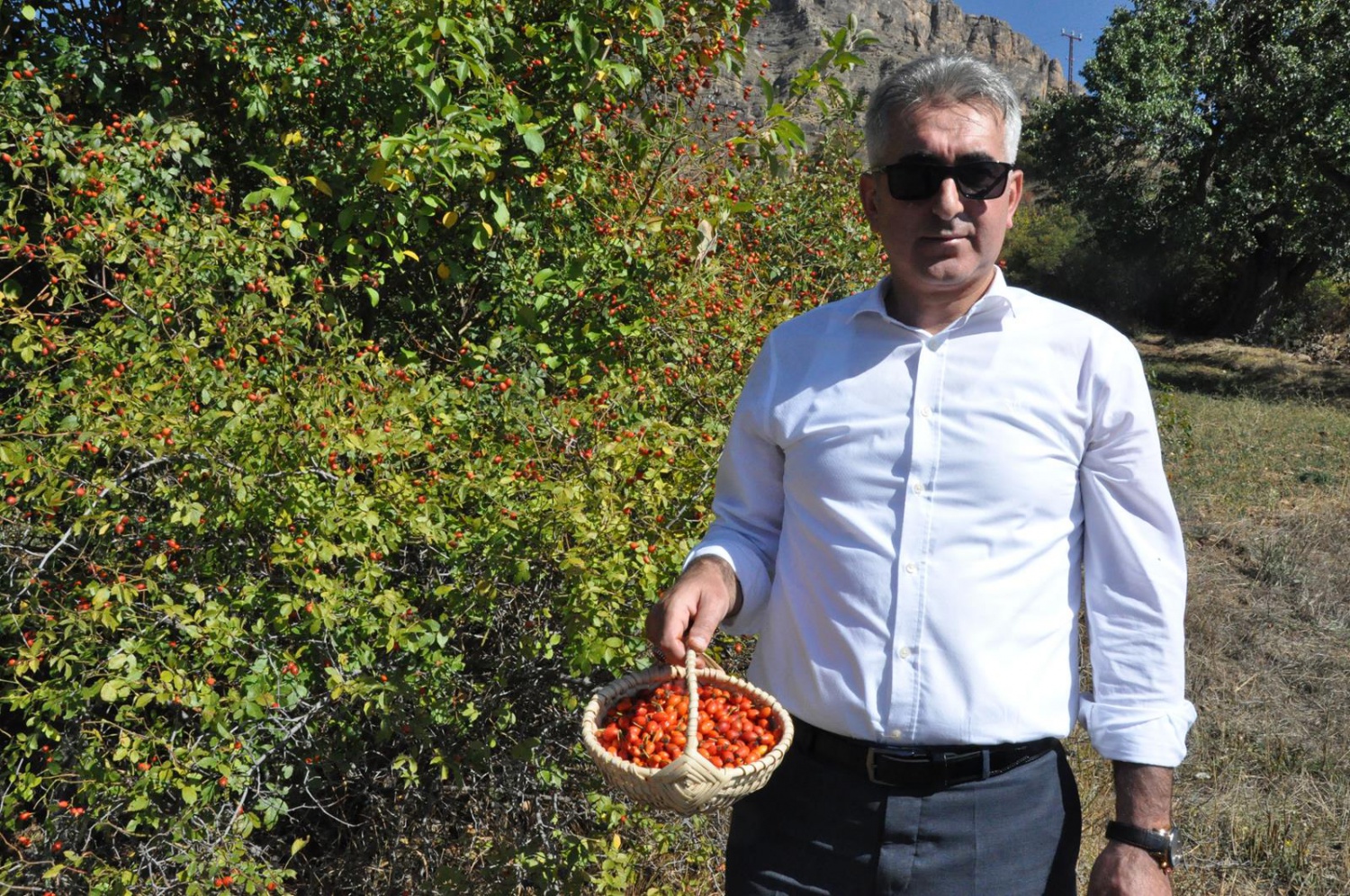 Dağlardan gelen şifa kaynağı: Kuşburnu 7