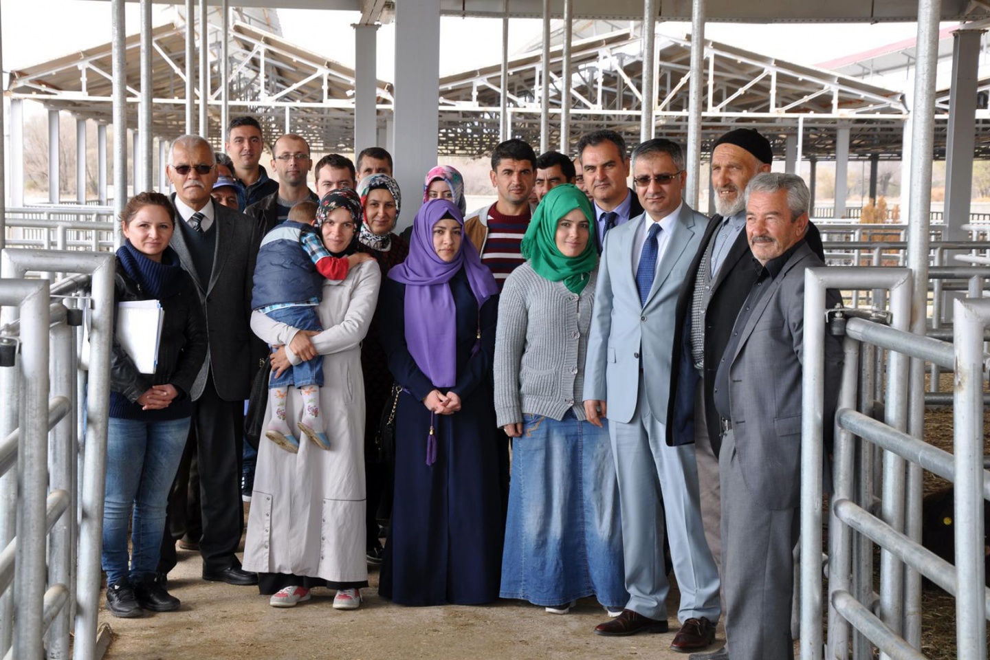 Kelkit ve Şiran’da ki genç çiftçilerin koyunları dağıtıldı 5