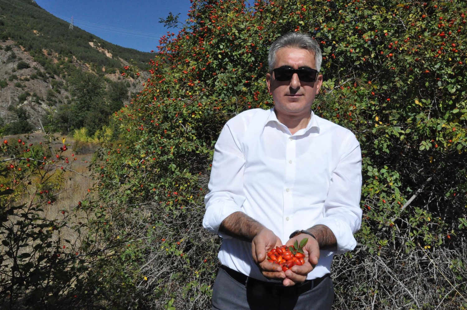 Dağlardan gelen şifa kaynağı: Kuşburnu 17