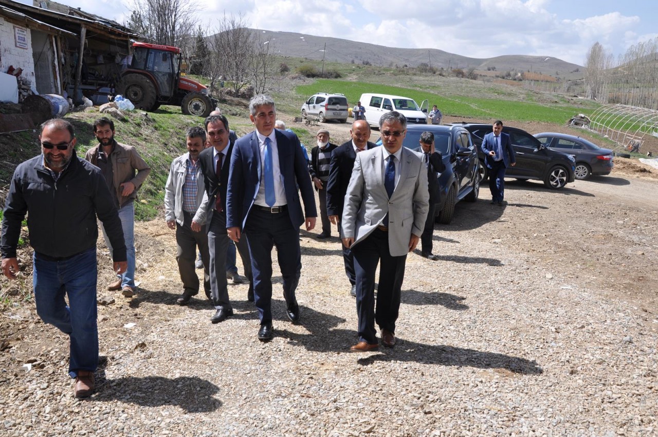 Kelkit’te damızlık sığır işletmesi açıldı 6