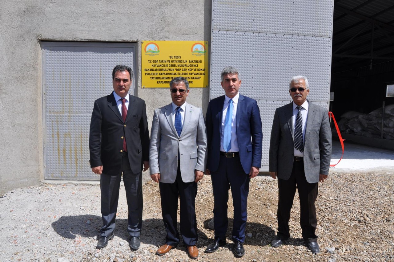 Kelkit’te damızlık sığır işletmesi açıldı 9