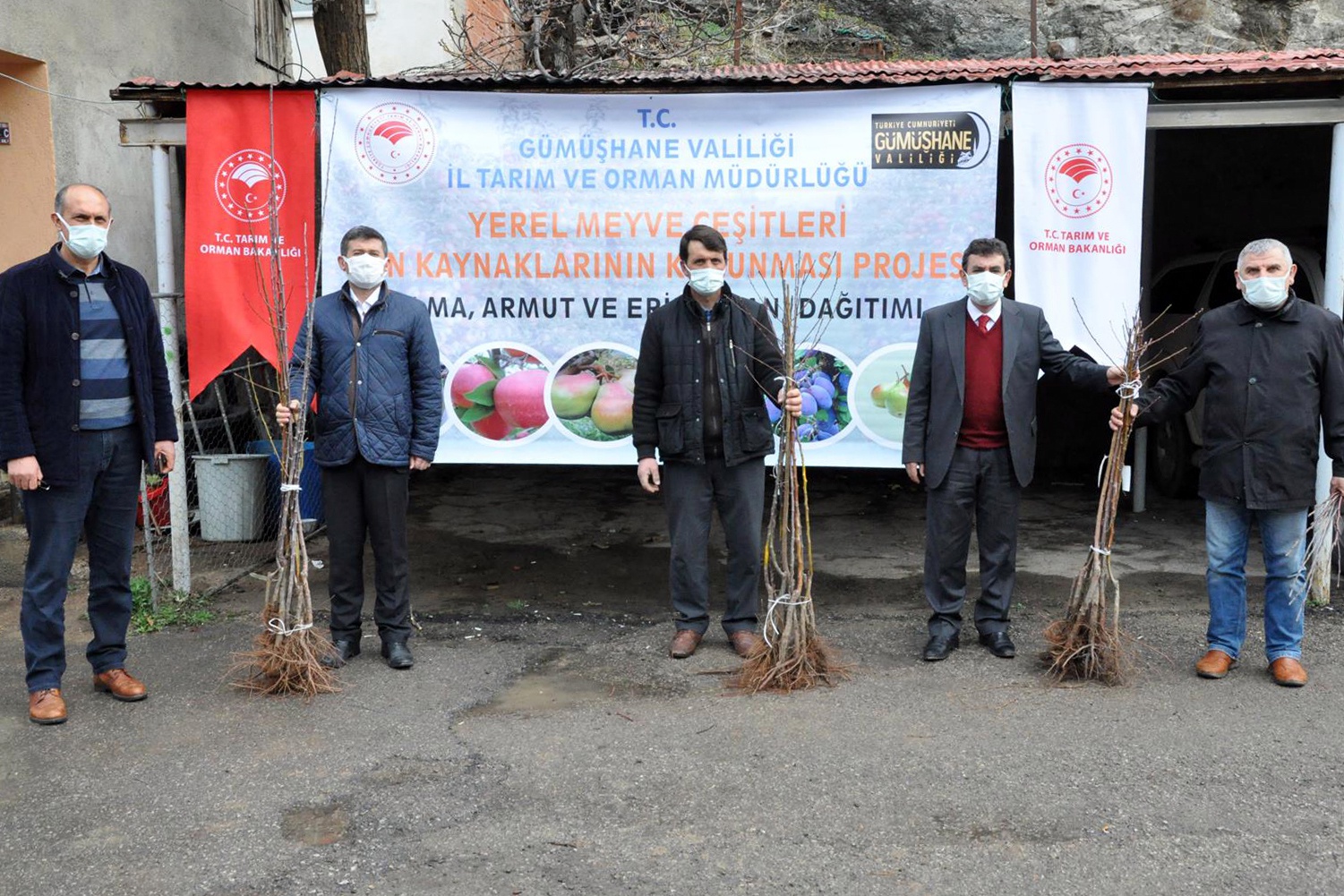 Gümüşhane’de üreticilere 4 bin adet yerli meyve fidanı dağıtıldı 9