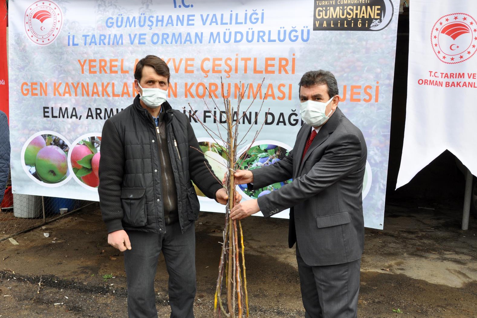 Gümüşhane’de üreticilere 4 bin adet yerli meyve fidanı dağıtıldı 14