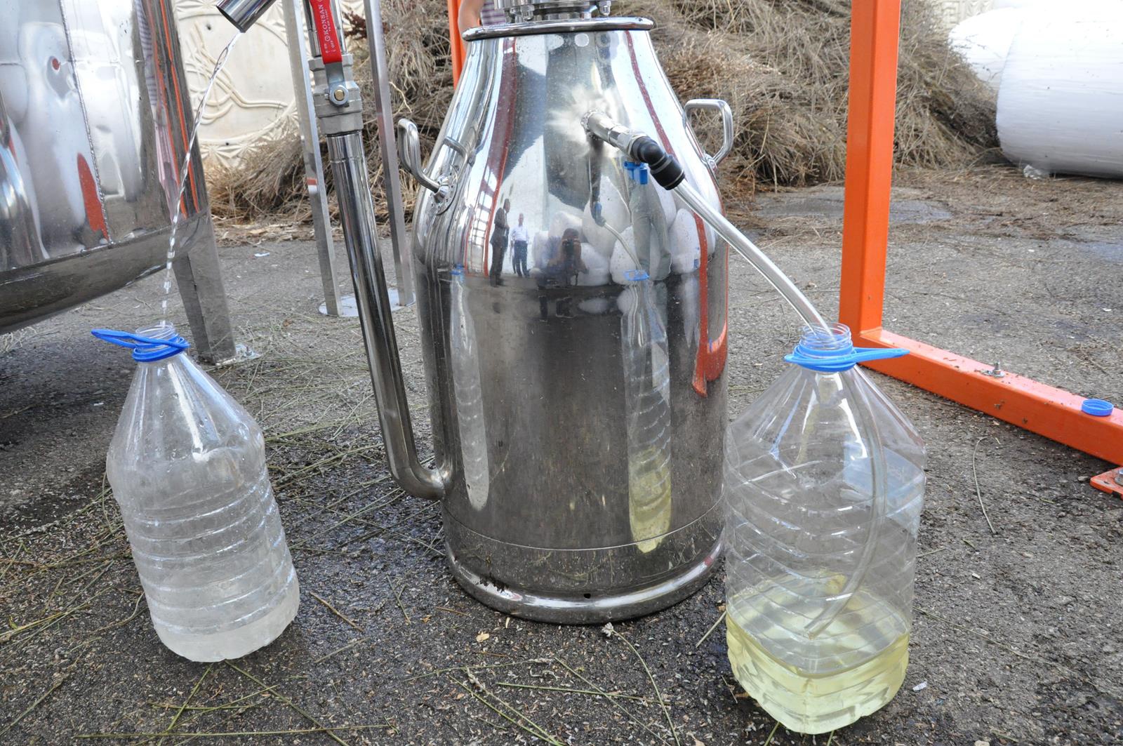 Lavanta Gümüşhane’de üreticinin gelir kapısı oldu 1