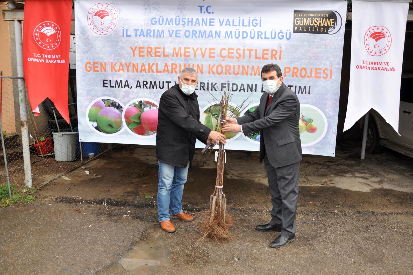 Gümüşhane’de üreticilere 4 bin adet yerli meyve fidanı dağıtıldı 13