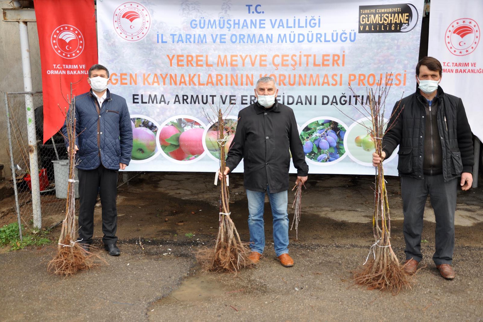 Gümüşhane’de üreticilere 4 bin adet yerli meyve fidanı dağıtıldı 17
