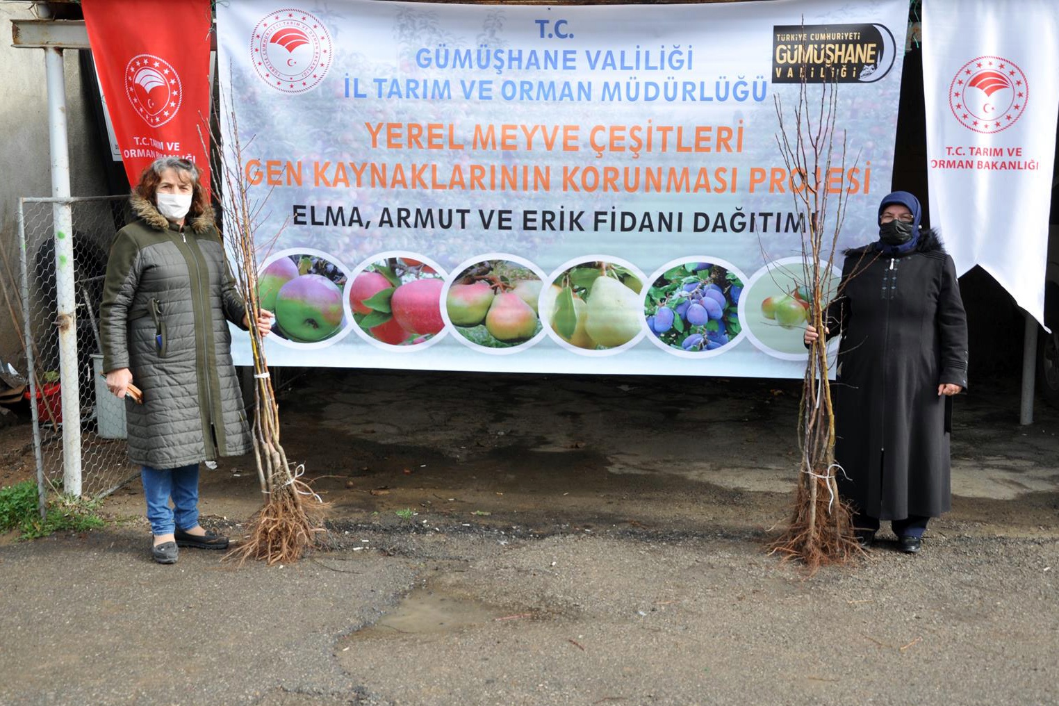 Gümüşhane’de üreticilere 4 bin adet yerli meyve fidanı dağıtıldı 3