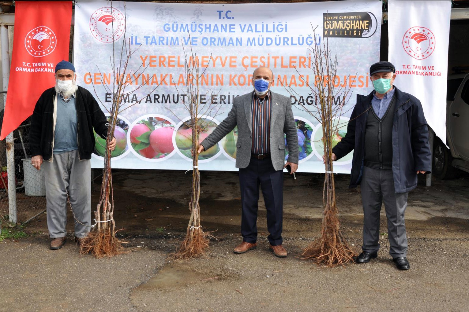 Gümüşhane’de üreticilere 4 bin adet yerli meyve fidanı dağıtıldı 5