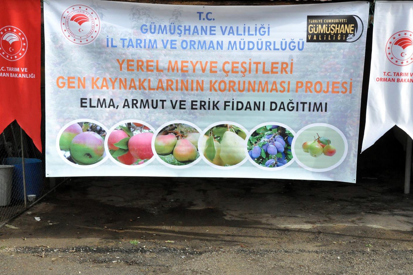 Gümüşhane’de üreticilere 4 bin adet yerli meyve fidanı dağıtıldı 4