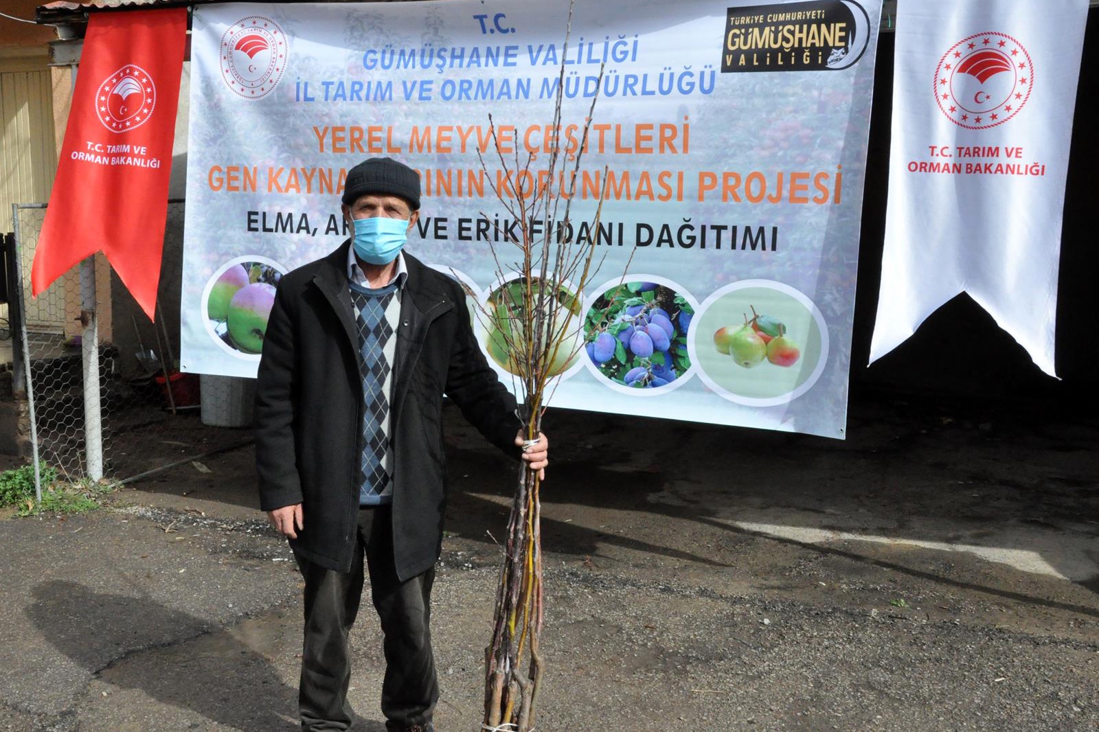 Gümüşhane’de üreticilere 4 bin adet yerli meyve fidanı dağıtıldı 10