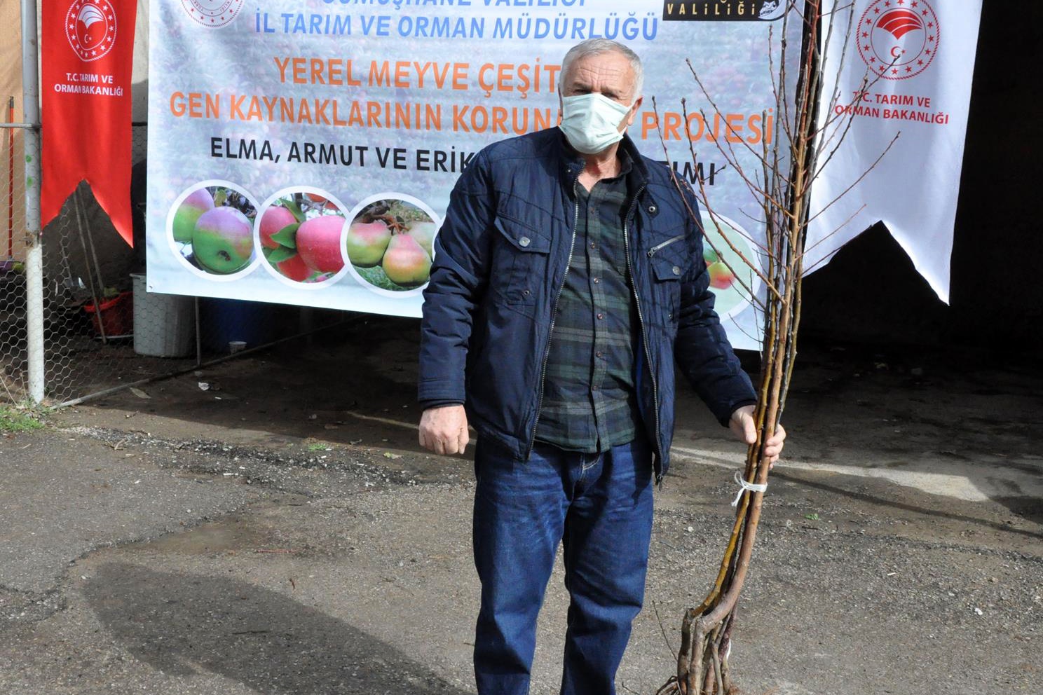 Gümüşhane’de üreticilere 4 bin adet yerli meyve fidanı dağıtıldı 2