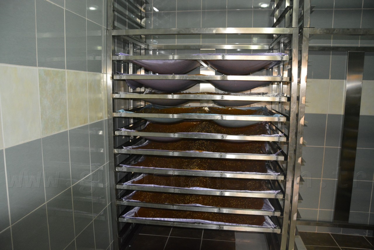 Kelkit’in ilk Pestil-Köme fabrikası açıldı 3