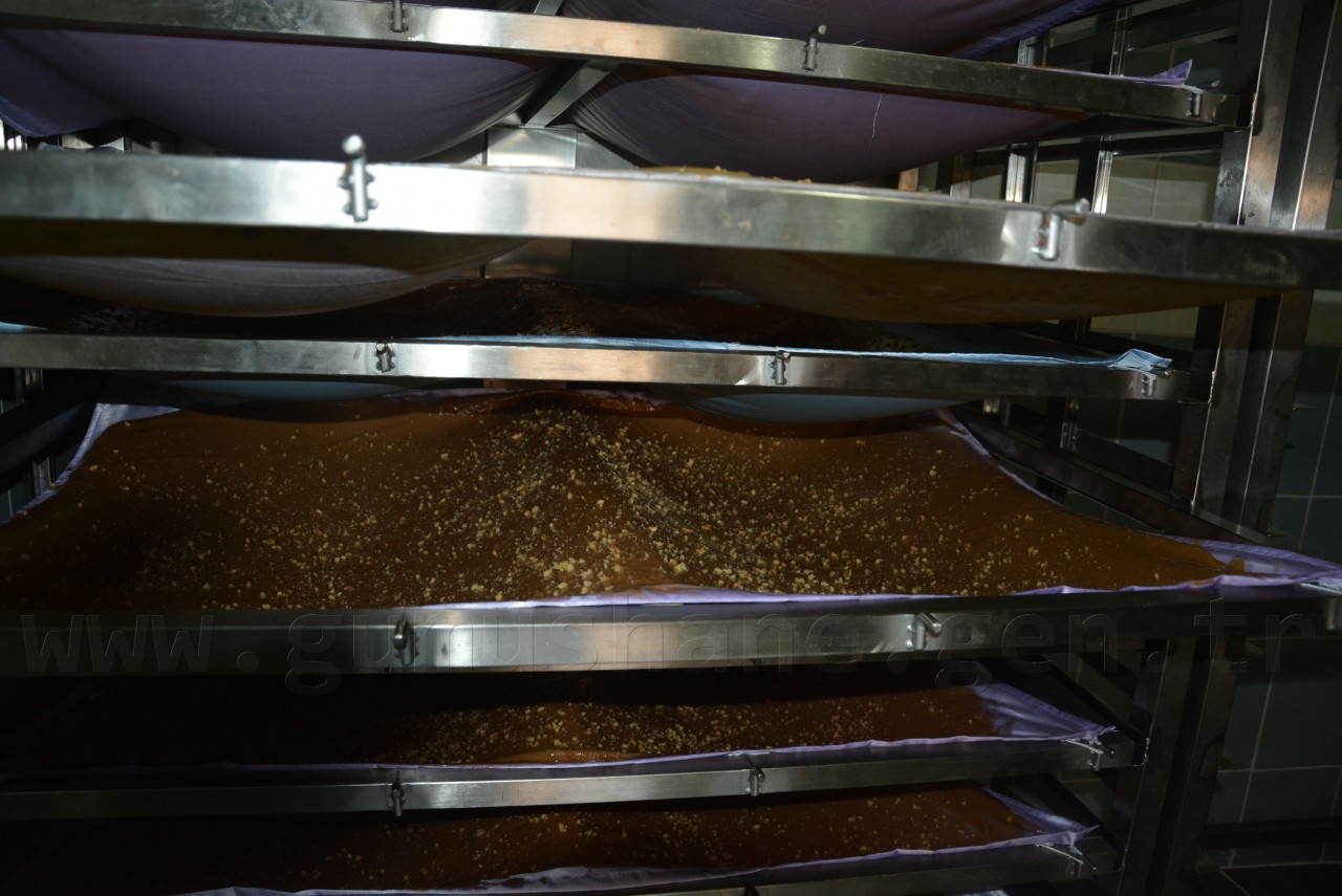 Kelkit’in ilk Pestil-Köme fabrikası açıldı 5