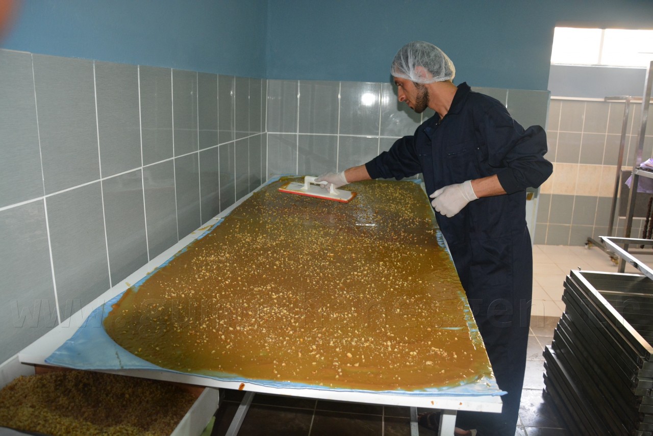 Kelkit’in ilk Pestil-Köme fabrikası açıldı 6