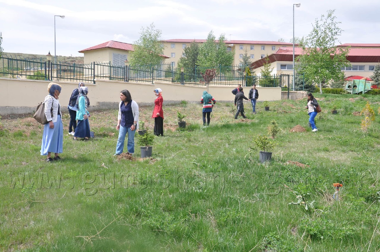 Kelkit Yüksekokul Kampüsüne Ağaç Dikiliyor 2