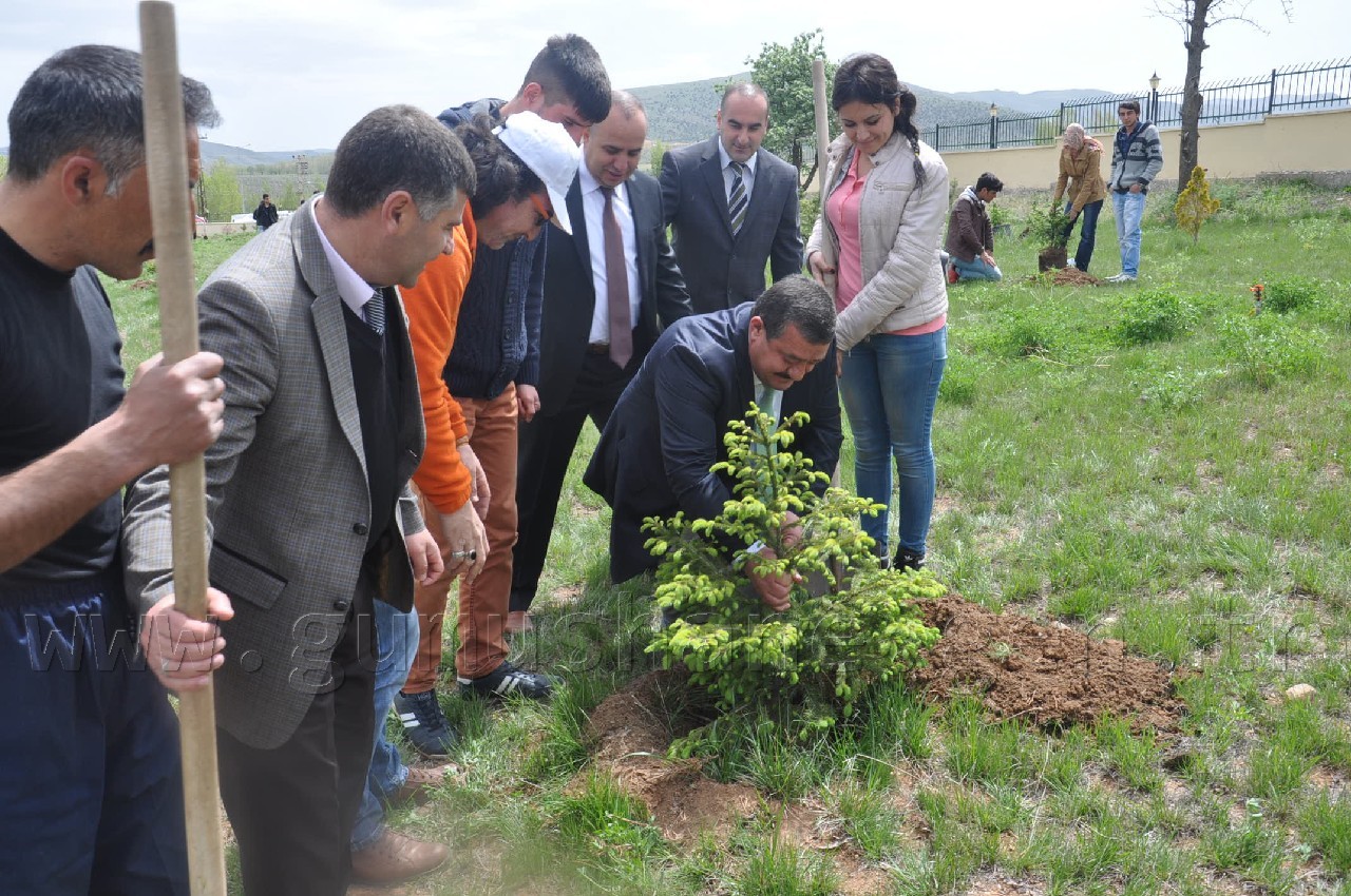 Kelkit Yüksekokul Kampüsüne Ağaç Dikiliyor 3