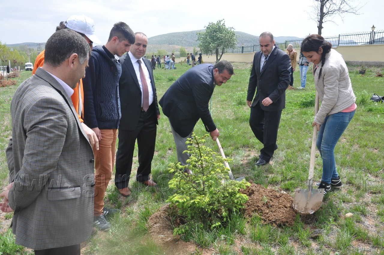 Kelkit Yüksekokul Kampüsüne Ağaç Dikiliyor 4