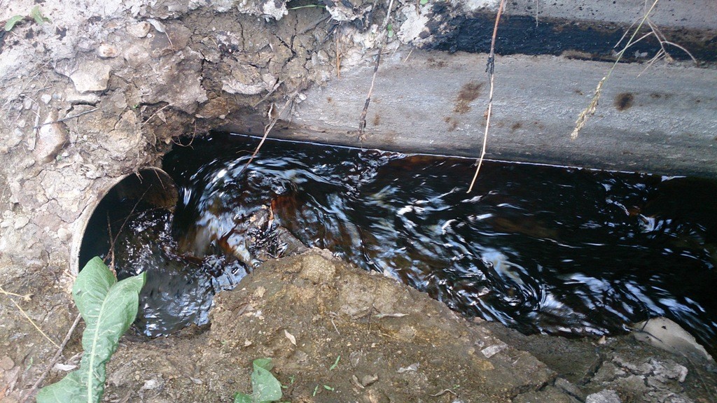 Harşite Kimyasal mı Karışıyor? 11