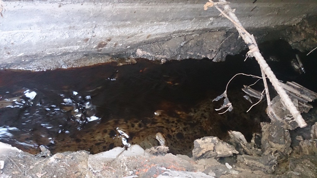 Harşite Kimyasal mı Karışıyor? 12