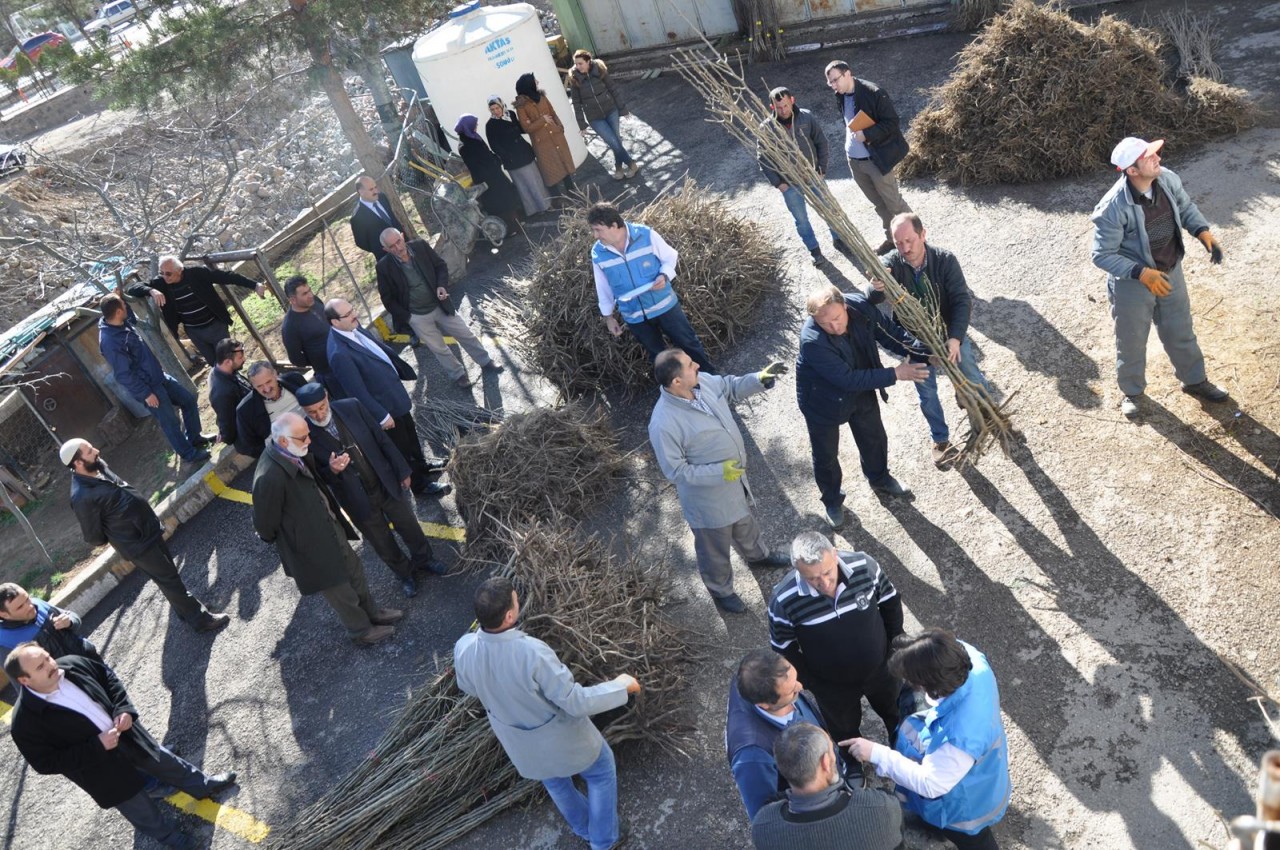 Gümüşhane'de Çiftçilere Meyve Fidanı Dağıtımı Yapıldı 4