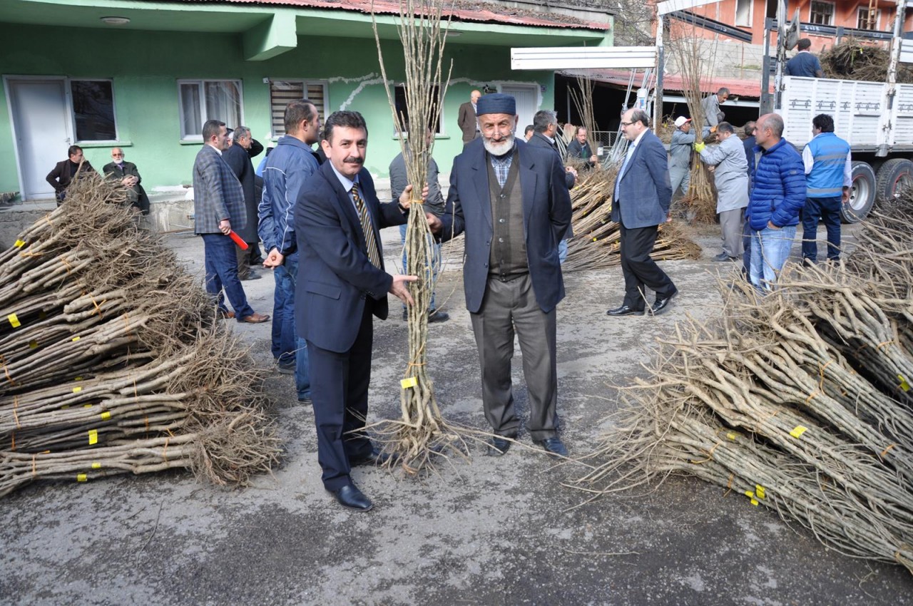 Gümüşhane'de Çiftçilere Meyve Fidanı Dağıtımı Yapıldı 7