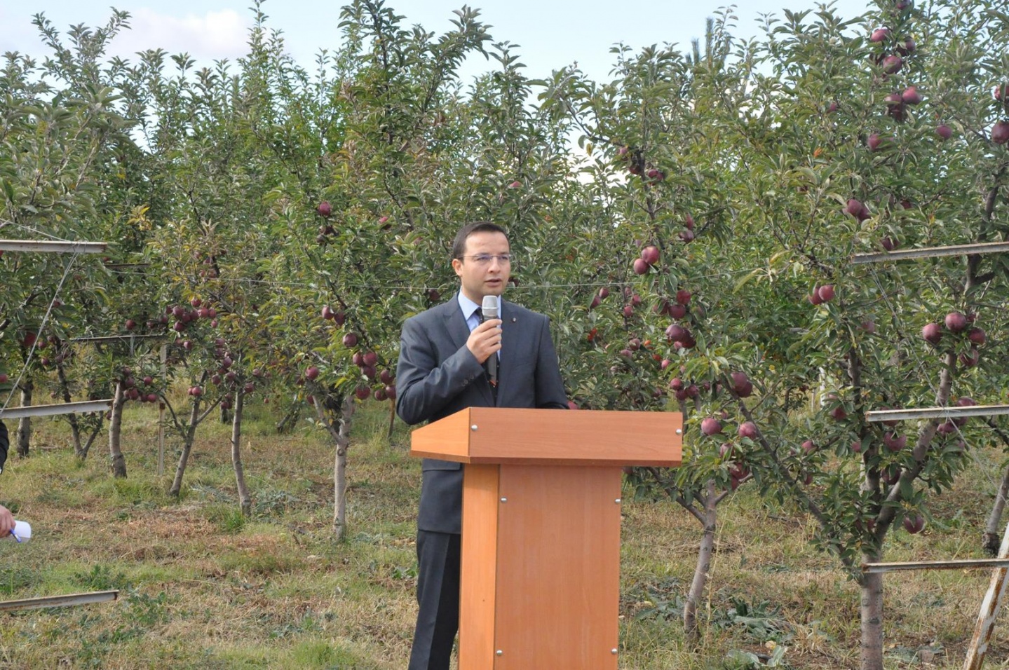 Gümüşhane’de Elma Hasadı Başladı 21