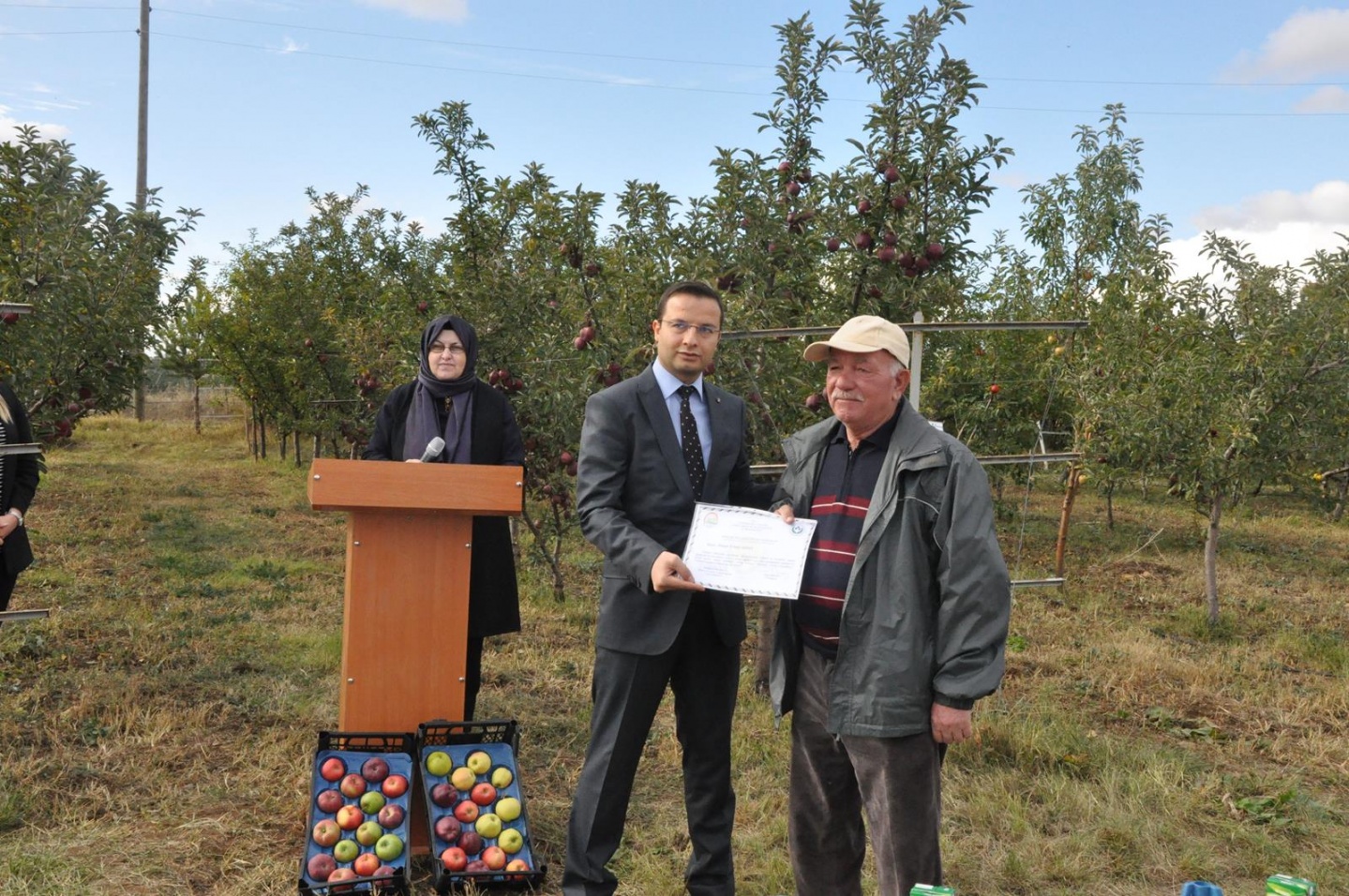 Gümüşhane’de Elma Hasadı Başladı 22