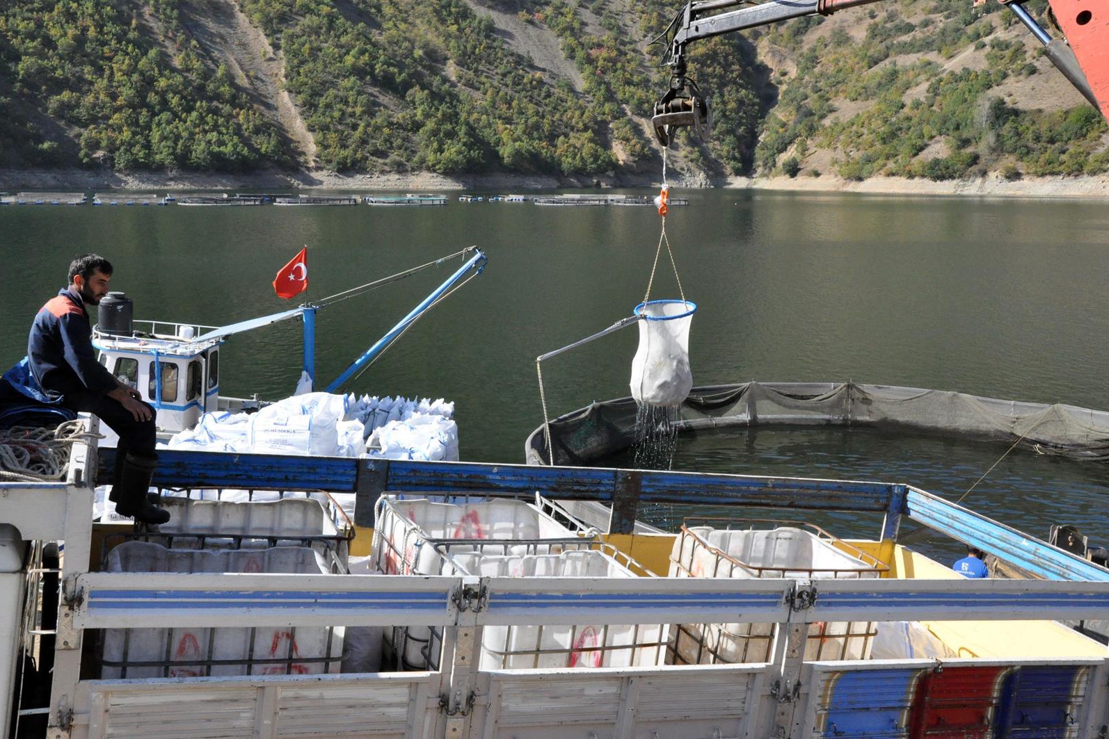 Gümüşhane’de alabalık ve somon hasadı başladı 8