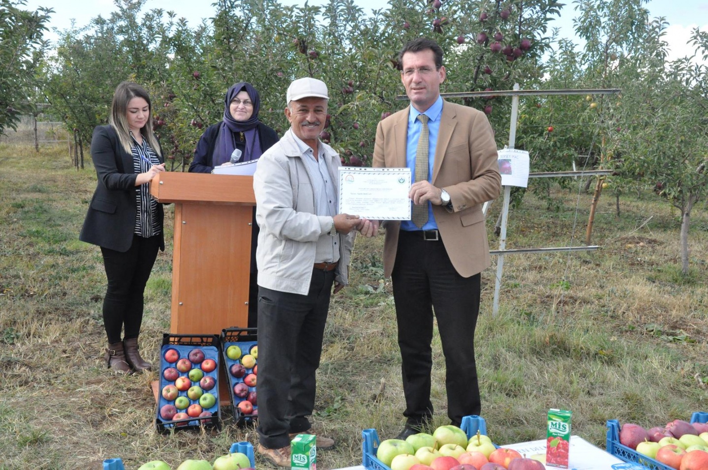 Gümüşhane’de Elma Hasadı Başladı 39