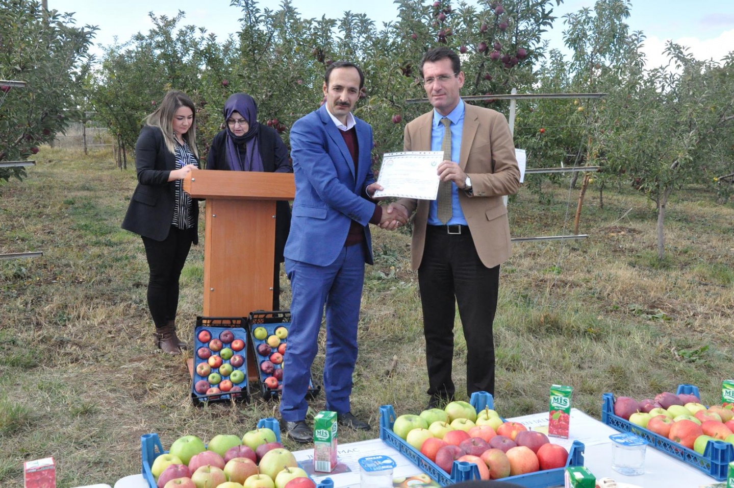 Gümüşhane’de Elma Hasadı Başladı 25