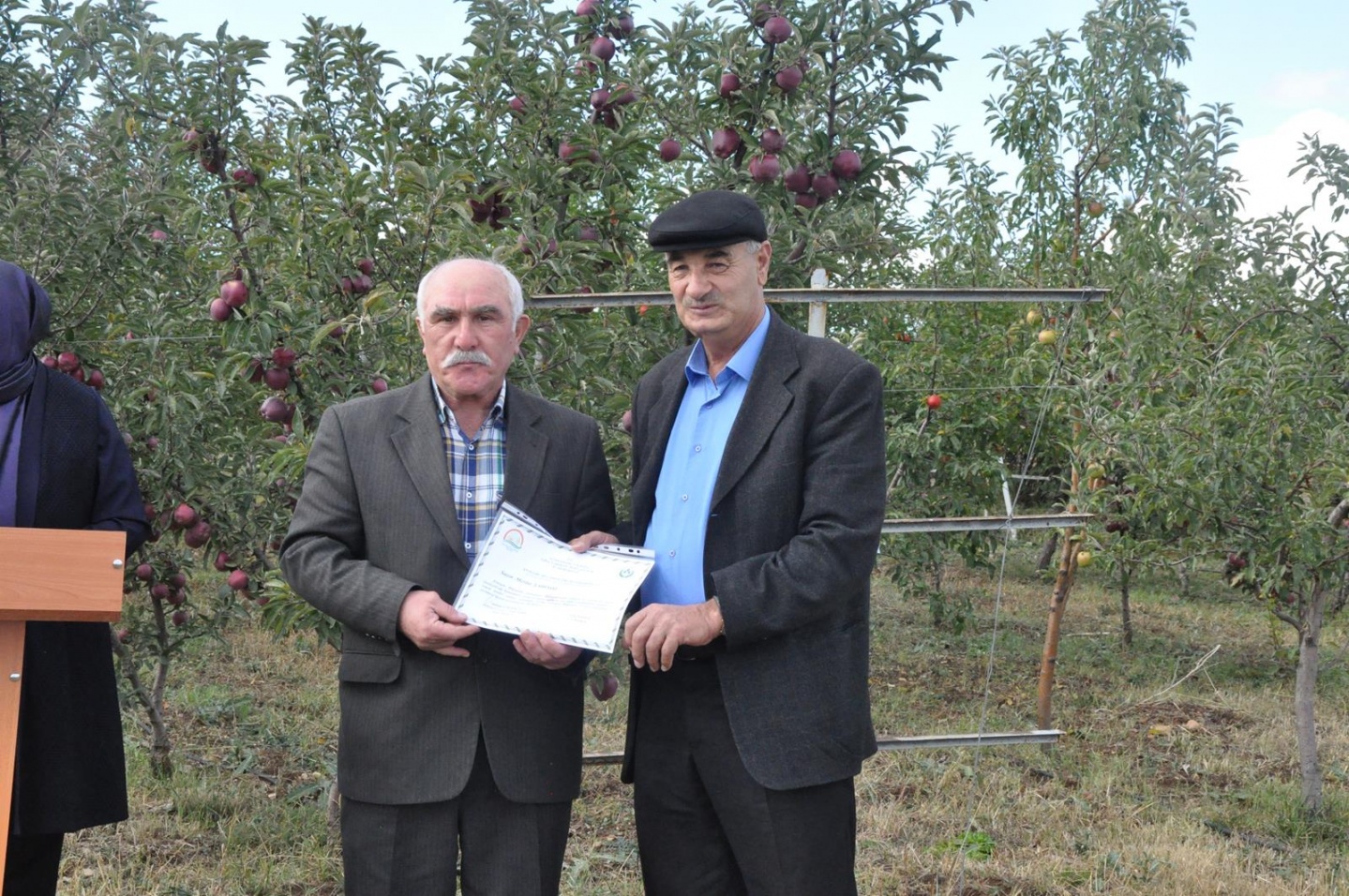 Gümüşhane’de Elma Hasadı Başladı 24