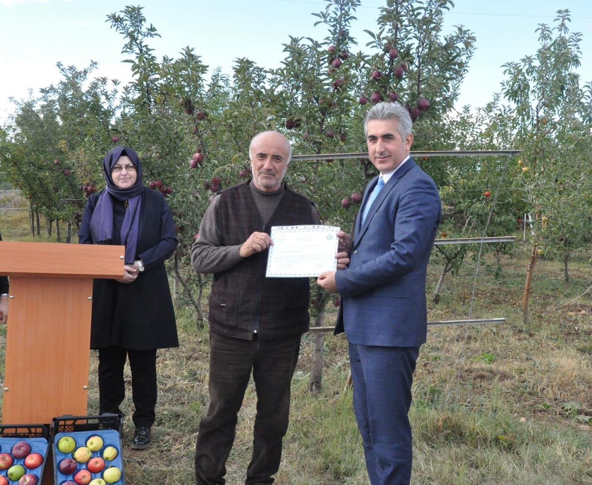 Gümüşhane’de Elma Hasadı Başladı 26